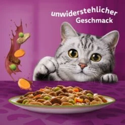 Whiskas Tasty Mix Multipack Chef's Choice In Sauce 60 X 85g -Haustier Lieferungen Verkauf 00442002c36da7f8b13802a1093e87c1e37cdc7c 1410719 de DE Whiskas 6