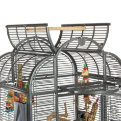Montana Cages Voliere Havana Dunkelgrau 16 Montana Cages Voliere Havana Dunkelgrau -Haustier Lieferungen Verkauf 0342079702df5f6f1c90e8ac8311f42d57c59c38 1070399 de DE b29430fcfdd1c1007a485dda77b5a71087f582c521q2vm