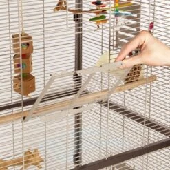 Montana Cages Voliere Paradiso 90 Schoko -Haustier Lieferungen Verkauf 042e3a3bf5a7d5ad417defbde6c016d7bc1432e0 1200892 de DE b737b9b23dd8fae7edb6a1ee9e179f40ebb27ca66gu1S2