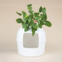 RHR Quality Katzentoilette Flower XXL -Haustier Lieferungen Verkauf 045c34da52ea42a8ca93faa0ffc4384eb81e7dd2 1641853 de DE 9141ae2b51dfaf3b5b7cf3a1ab485e45a4e63ee0Obqwe6