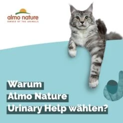 Almo Nature Almo Holistic Urinary Help 30x70g Mit Fisch 9 Almo Nature Almo Holistic Urinary Help 30x70g Mit Fisch -Haustier Lieferungen Verkauf 060c8767b8c7969b21cac8aabe9818c799d04626 1479698 2 de