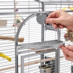 Montana Cages Vogelkäfig Madeira I -Haustier Lieferungen Verkauf 0ce8b7bc0a942f57aefb13282941196379db3123 1070554 de DE 771b423ff834b8a0c5d375c0a79f7a7c95888b2fzBGXD2