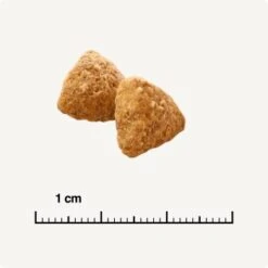 SELECT GOLD Light Adult Geflügel & Reis 2,5 Kg 12 SELECT GOLD Light Adult Geflügel & Reis 2,5 Kg -Haustier Lieferungen Verkauf 0e0cb7fda9cc7a96a9f2c0e4965d8e2bbc043b5c 1243297 de DE 6