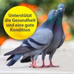 Quiko Multivitamin 375 G 9 Quiko Multivitamin 375 G -Haustier Lieferungen Verkauf 104df2b21f8fd9e32b99e367a9a5b3569dbad191 1387633 de DE f867bf42cdcdb7e6959667b1210fedd6d7d4c069gH7Wsa