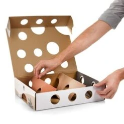 Canadian Cat Company Katzenspielzeug MagicBox -Haustier Lieferungen Verkauf 142300badb79cca7ad6d02f165f6adb72822700a 1361887 de DE 0a0d8e236e46b38b19bc65d2f7a8b14b65d84da00feNa3