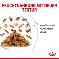 ROYAL CANIN SENSORY Feel In Gelee Für Wählerische Katzen 12x85g -Haustier Lieferungen Verkauf 15b7f43bf7d21e68f6a5f585ba869435e3d81722 19a1526453e48e05c977a1660234eaf969ffc1a7