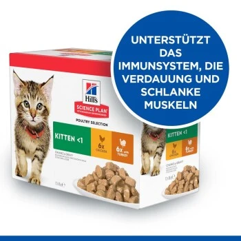 Hill's Science Plan Kitten Multipack Mit Huhn & Truthahn 12x85 G 5 Hill's Science Plan Kitten Multipack Mit Huhn & Truthahn 12x85 G – Bild 3