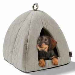 MORE Höhle Diamond -Haustier Lieferungen Verkauf 1901edb64570eb8cb38c0e72458280ff138dcb40 856e9f8ef094dc77c4e2ce9e6d85768bffa721c6