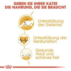 ROYAL CANIN Maine Coon Adult 10 Kg -Haustier Lieferungen Verkauf 193838012faba50961af8a6b1972f50353f3759f 0ec5240d9e0a92eb32a4d9b7f4fda22d682f9237