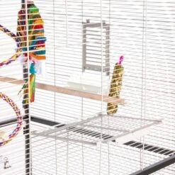 Montana Cages Voliere Paradiso 120 Hellgrau/ Dunkelgrau -Haustier Lieferungen Verkauf 1c842f90892054aed2e7d5c892280c11e89fe74b 1200893 de DE 93edbe7d4f0e092dd8649cc255466a331806c29emAqrjU