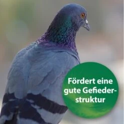 Quiko Spirulina 250 G -Haustier Lieferungen Verkauf 1d197f2e004bf765dcdb99f3cb777c57285c03ed 1387640 de DE 185e18e93f54cb0130b70ffb741d9e21c1c0250eZ39B4c