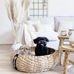 District 70 COCOON Natural M -Haustier Lieferungen Verkauf 1db584284c497361442002ba80ca8dd9597a35b9 1ad367312153dfaf420d5600b6e8e9dac5cec798