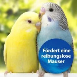 Quiko Biotin M 150 G: Unterstützt Die Mauser Von Ziervögeln -Haustier Lieferungen Verkauf 1edb379122303e5bd6851c962595f5914d97ad79 1386532 de DE d423967889f663d8a9511c722121183787861b26YUo6R2