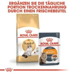 ROYAL CANIN Ragdoll Adult 10 Kg -Haustier Lieferungen Verkauf 1f16e72aeb2fd50999dd6b219df93b1dfed57c15 ab97a50c6663f92088b2e5bdde13b4174333fe76