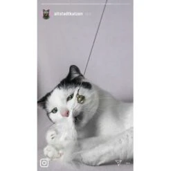 Kater Kasimir Premium Katzenangel Set Aus Buchenholz Mit 4 Handgemachten Anhängern -Haustier Lieferungen Verkauf 21dd16f50076a5d627c45258925f2847665d22a7 1422145 de DE ad7eb1e3270aeafca2a582afabb293db93269a7cF1epRY