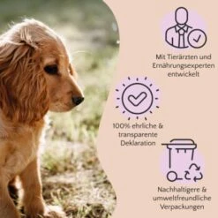 FAVLY Petfood PURE Bites Hirsch 360 G -Haustier Lieferungen Verkauf 236dbc85f5fb75ec5fb4367bde1445e3087ffdcd 1474003 de DE 80624b888460a5c29f043365a19496292e44fd84TlIvR8