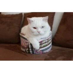 Canadian Cat Company Katzenschiff LUNA -Haustier Lieferungen Verkauf 2a794931f9263820d298c92486fc08c7b5fe3a35 1412669 de DE 46780a4b5da8fe052e5be00462eb02991658c41f2ZgeMs