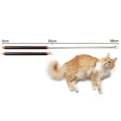 Schlitzohr Stabile Katzenangel Arnold -Haustier Lieferungen Verkauf 2b03aaa8061d454c3b132f3d29075b579f022315 1484671 de DE 4db6a969e0582cf4b987acff93cb66c6c6149da6OAB1hx