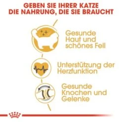 ROYAL CANIN Ragdoll Adult 10 Kg -Haustier Lieferungen Verkauf 2b7f4d002fcb25d0a160549b35fe8a36048495d4 cfc9c514c254f121c1e52d87d5f81af4ab650af9