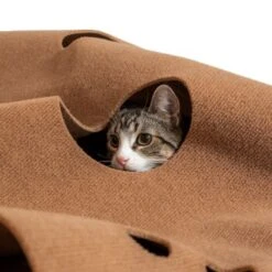 Canadian Cat Company Spielteppich Für Katzen Braun -Haustier Lieferungen Verkauf 2d410486173eb6739126d1af73ad3230c308a43d 1394213 de DE 2f11fbac0571dcc5ff170aac428c7150347b9b8ccw1yKZ