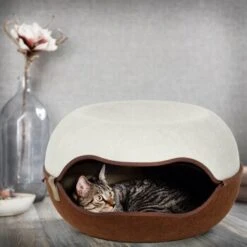 Canadian Cat Company Filz Katzennest 2.0 Weiß -Haustier Lieferungen Verkauf 2d709df44822ed1c554e77257ea4f2826b7f6ee6 1412670 de DE f4bc2f42c404e1ae32cb86346c8e995f0178b889j3OAow