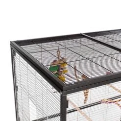 Montana Cages Voliere Paradiso 120 Hellgrau/ Dunkelgrau -Haustier Lieferungen Verkauf 2e3ca700ad43b5e6ad054652593895430f2b22d4 1200893 de DE 3f754a7b02eaf44e552bfbe47dafdc8fb7b1d1f8yzvZoM