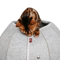 Canadian Cat Company Katzenhöhle In Kugelform S -Haustier Lieferungen Verkauf 2ecb868df2d3b2cf90a9092caebd3c19caa20008 1347679 de DE 9620a1f8944edc55aec2b992d490644e015c022abD41s1