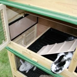 Kerbl Kleintierstall Appartement -Haustier Lieferungen Verkauf 2fefb12755f6cb3419ba5e5286e5091028a73780 6f2a43e8e3dc5f03e4faa316fbe185c498a66436