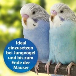 Quiko Plus 400 G: Extra Proteine Für Jungvögel 10 Quiko Plus 400 G: Extra Proteine Für Jungvögel -Haustier Lieferungen Verkauf 3190f3828e35083694537fdd840250512177f97d 1386524 de DE a58e247c1fb3092732f92fc759d1dabd3a4811c5GIUhYl