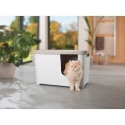 MORE FOR Katzentoilette XXL Titan -Haustier Lieferungen Verkauf 331a65ecbdbda6a54304894f23caf93293414f9a 41a7dcb3b92b8da7531785b268f381c1b25bbf04