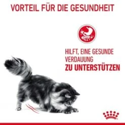 ROYAL CANIN Digestive Care 10 Kg -Haustier Lieferungen Verkauf 33836b78e4dfe5d72c6cf6742ac3f6af2f72a25c 1084985 4