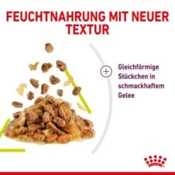 ROYAL CANIN SENSORY Smell In Gelee Für Wählerische Katzen 12x85g -Haustier Lieferungen Verkauf 3469e2789c9f64bff26f87bbac39ba0a4ed440ea 45f33cf5dbb691236fc67f7b11a07842abb35bb4