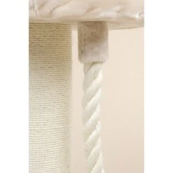 RHR Quality Kratzbaum Chartreux -Haustier Lieferungen Verkauf 38dadae3a0cdc4e1b033da9645d974ba45def5fe 1657336 de DE 2af54c8aa53be2f2a0efbaffa845318c140249e79Sk6WN