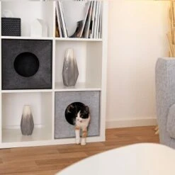 Lionto Katzenhöhle Aus Filz, Regalhöhle Hellgrau 12 Lionto Katzenhöhle Aus Filz, Regalhöhle Hellgrau -Haustier Lieferungen Verkauf 3c5d584027a6e3b26513e541aa58d28bf163eba5 1657088 de DE 08ba330c4edc4dd9925351943ddeb35e95610dc5ibJstM