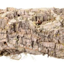 HappyBird Sitzstange Natur Kork L 14 HappyBird Sitzstange Natur Kork L -Haustier Lieferungen Verkauf 4219bfe3ca891eef1cb492a7d523955c5a87acdb 1416844 de DE 36da01729119466b9455d5ee60fee4c9e37394097Q8Hd8