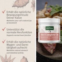 Aniforte 4in1 Complete Cat 60g 10 Aniforte 4in1 Complete Cat 60g -Haustier Lieferungen Verkauf 433174568e18224fd341b5ca349c776d85d96ab2 1332844 de DE 0aa93cc915c5d5bb812b052b88179a1f5f51f297zDGJEt