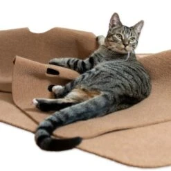 Canadian Cat Company Spielteppich Für Katzen Braun -Haustier Lieferungen Verkauf 446d45749f5e58cb5a7dbc00eb3558dbe40784fe 1394213 de DE 80770b9625226d955903498b97e7018485822aeeDB3L2u