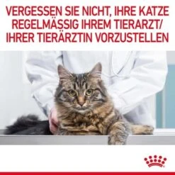 ROYAL CANIN Digestive Care 10 Kg -Haustier Lieferungen Verkauf 4862b8a8c7da23cfc5aa9c490985d62a1dba53ab 1084985 11