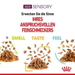 ROYAL CANIN SENSORY Smell In Gelee Für Wählerische Katzen 12x85g -Haustier Lieferungen Verkauf 4a632532d23d065e189b82401db5c561b6749e74 bbe7e159ee2cfcc0155771b211da953377ec5c40