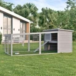 MORE FOR Free Running XL -Haustier Lieferungen Verkauf 4ce65cd82572b04faf049b8d7f58b316aef43620 046fc5a2893056d744f00309a742d79bccd8a723