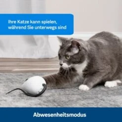 PetSafe Automatisches Katzenspielzeug RoloRat -Haustier Lieferungen Verkauf 4e48313abe110e77b48862456b3054c8cbc622dd 1351522 de DE cc35ab35cec54291341f643ff079f60e72f56895BvuHXl