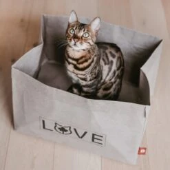 Canadian Cat Company Katzenbett Winnipeg -Haustier Lieferungen Verkauf 4f163c23f3c00759be25633fb22100eb50b10eed 1360995 de DE e27163ea0c21fd571c9e22268b69a4d1b68affe5UBt2yy