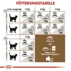 ROYAL CANIN Ageing 12+ 2 Kg 14 ROYAL CANIN Ageing 12+ 2 Kg -Haustier Lieferungen Verkauf 50b3c838d5d21d1b917bd2a34ef54691565d1bd7 bd4918ff5f6d0c4d1cc754a091c66c5be6459815
