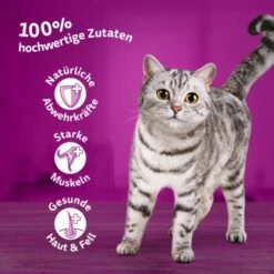 Whiskas Mega Pack 1+ Klassische Auswahl In Sauce 40 X 85g -Haustier Lieferungen Verkauf 577d6a35462bd69442d57b06ef0f51e82f851a3a 1410718 de DE Whiskas2 1