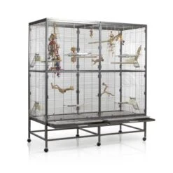 Montana Cages Voliere Paradiso 150 Hellgrau/ Dunkelgrau -Haustier Lieferungen Verkauf 57d765c5251d220f7fb80b9e17dd7c30bed7aa9a 1330426 de DE 32a0a07122e2d2167ed99c854ac82bd80c6ddd4fR7g0HT