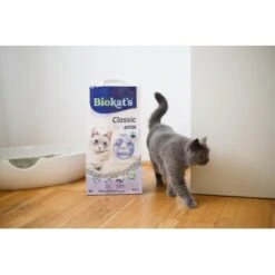 Biokat's Classic 3in1 Extra 14 L -Haustier Lieferungen Verkauf 5d52880c5f6cb6a968c367a4df6d22f3606a92d3 1422137 4