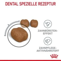 ROYAL CANIN Dental Care 3,5 Kg 18 ROYAL CANIN Dental Care 3,5 Kg -Haustier Lieferungen Verkauf 5fb2afd9953b01669eac47bd89d44929db4d1f18 1003121009 de DE rc 6