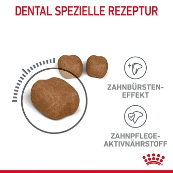 ROYAL CANIN Dental Care 3,5 Kg 9 ROYAL CANIN Dental Care 3,5 Kg – Bild 7