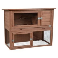 AniOne Woody Castle & Garden