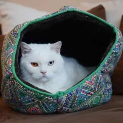 Canadian Cat Company Katzentunnel COSMO M -Haustier Lieferungen Verkauf 67f448259cbca2b76f0f056d6321e3f462cbbfb2 1412665 de DE 5bb2b25340ddb934c05b11da4b3410ce26fcf1f8fEc8B6